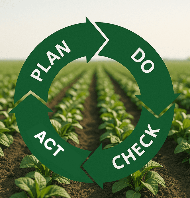 Representação do ciclo: planejar, fazer, verificar, agir (PDCA)